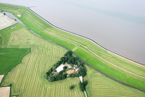 Overijssel staat geen zonneparken op land meer toe