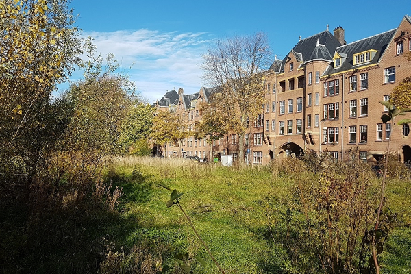 Tender middeldure huurwoningen in Spaarndammerbuurt 