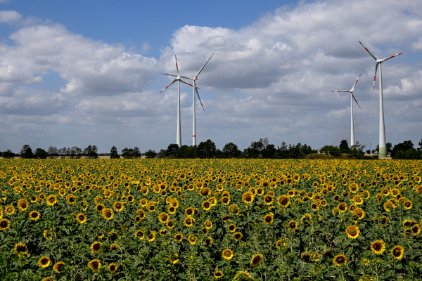 Overijssel gaat energie halen uit mest en afval