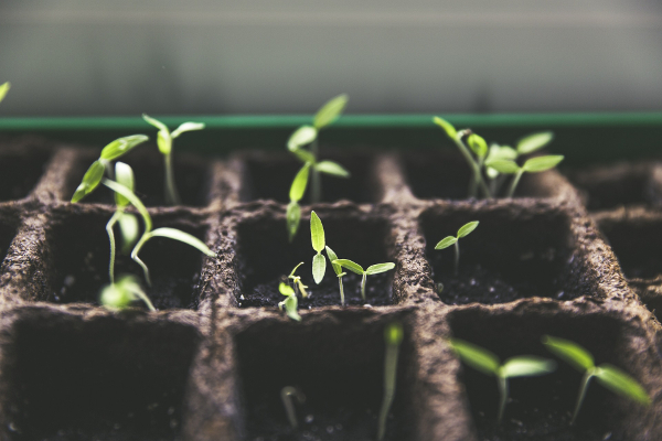 Regelmatig de tuin omploegen: dit zijn de voordelen