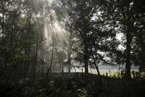 N-Holland heeft nog miljard euro nodig voor natuurgebieden