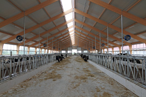 Moderne stallenbouw: technische uitdagingen vragen om specialistische kennis